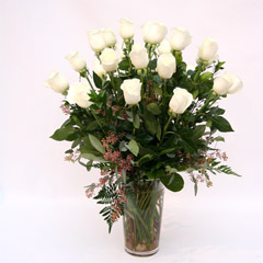 24 LONG STEM WHITE ROSES 24 LONG STEM WHITE ROSES