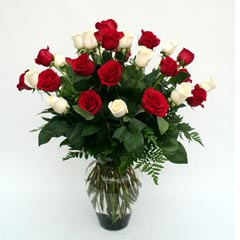 RED and WHITE ROSES RED and WHITE ROSES