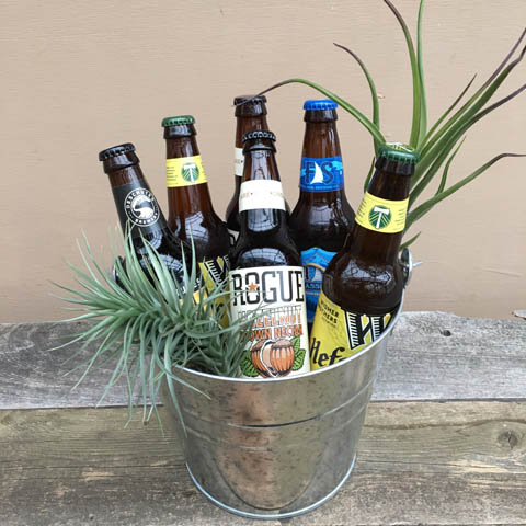New!!! Oregon Brewers Beer Bucket and Tillandsia Plants New!!! Oregon Brewers Beer Bucket and Tillandsia Plants