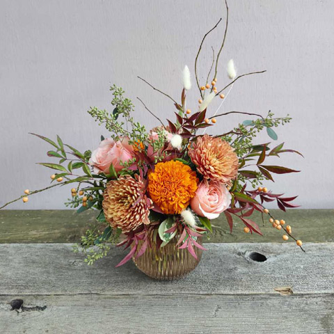 New!!! Belmont Fall New!!! Belmont Fall