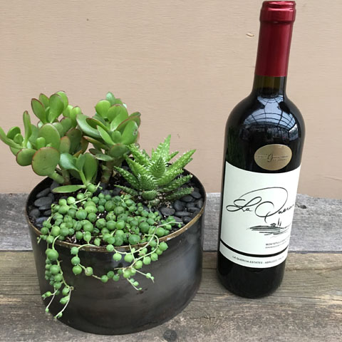 New!!! Norman Succulent Garden and Wine New!!! Norman Succulent Garden and Wine