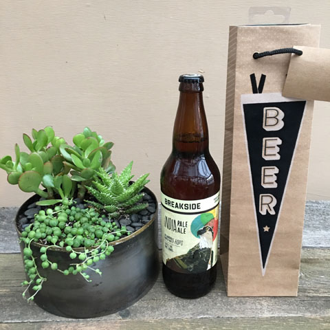 New!!! Norman Succulent Garden and Breakside IPA New!!! Norman Succulent Garden and Breakside IPA