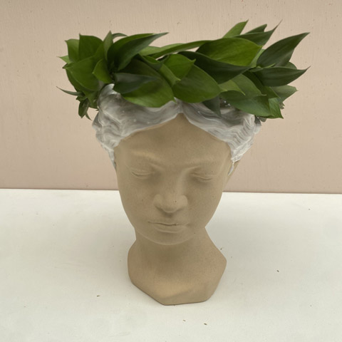 (image for) Israeli Ruscus Adult Flower Crown