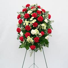 RED and WHITE CARNATION STANDING SPRAY RED and WHITE CARNATION STANDING SPRAY