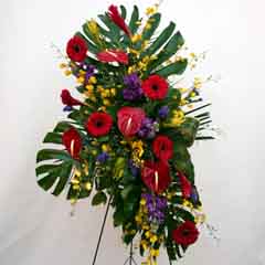 EXOTIC TROPICALS STANDING SPRAY EXOTIC TROPICALS STANDING SPRAY