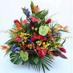 EXOTIC TROPICALS MACHE EXOTIC TROPICALS MACHE