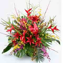 EXOTIC TROPICALS MACHE EXOTIC TROPICALS MACHE