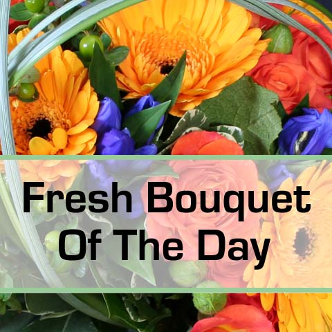 (image for) Bouquet of the Day - Click Image to Close