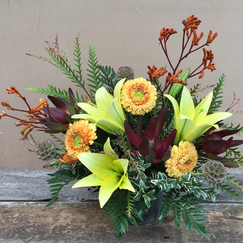 New!!! Nob Hill Summer New!!! Nob Hill Summer