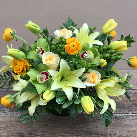 New!!! Portland Spring New!!! Portland Spring