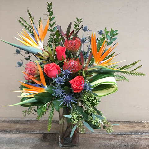 Tropical Romance Tropical Romance