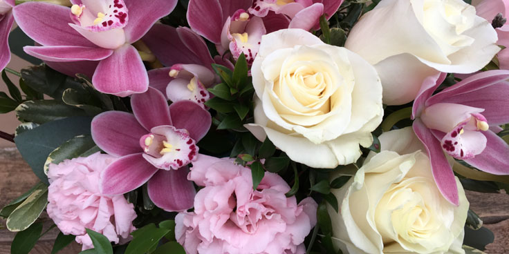 (image for) Mother's Day Gifts
