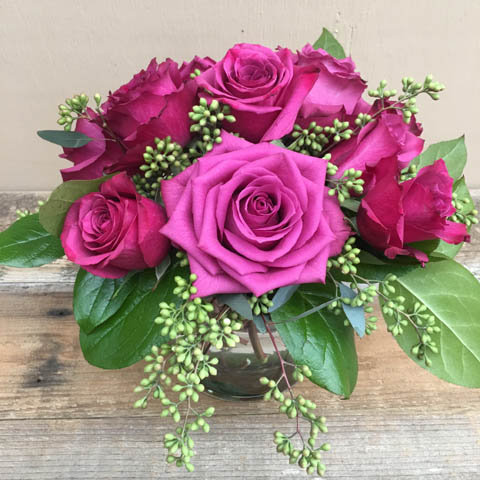 Blueberry Roses Blueberry Roses