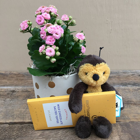 Bee Mine Combo Package Bee Mine Combo Package