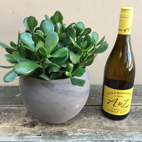 Jade and Pinot Gris Jade and Pinot Gris