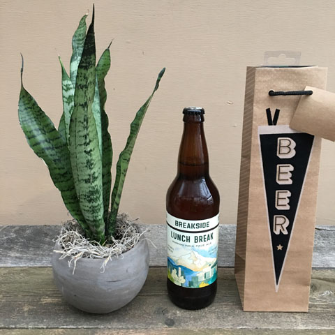 Sansevieria and Breakside IPA Sansevieria and Breakside IPA