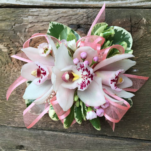 CYMBIDIUM ORCHID WITH SALMON TRIM WRIST CORSAGE CYMBIDIUM ORCHID WITH SALMON TRIM WRIST CORSAGE