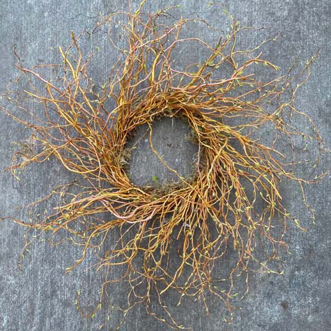 (image for) Curly Willow Wreath - Click Image to Close