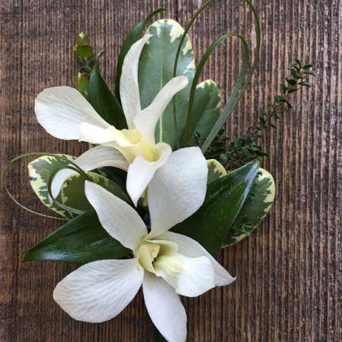 DENDROBIUM ORCHID BOUTONNIERE DENDROBIUM ORCHID BOUTONNIERE