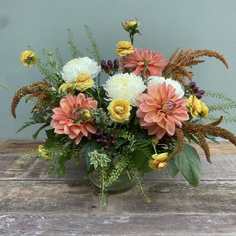 (image for) Designer's Choice Low and Lush