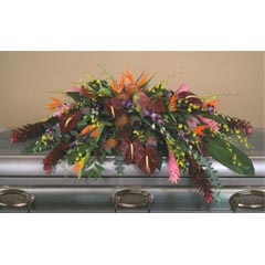 (image for) Exotic Tropical Casket Flower Spray