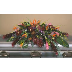 (image for) Exotic Tropical Casket Flower Spray