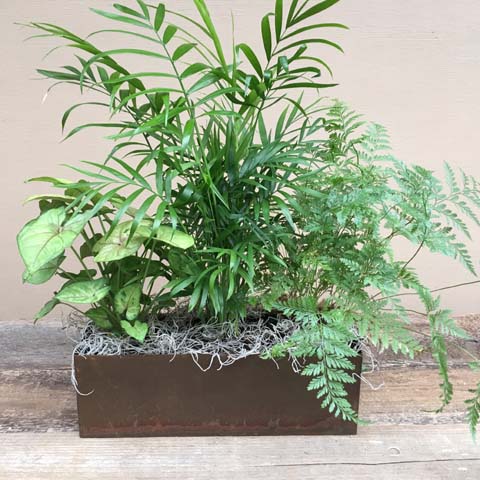 Galveston Green Planter Galveston Green Planter