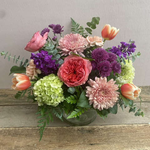 (image for) Designer's Choice Low and Lush - Click Image to Close