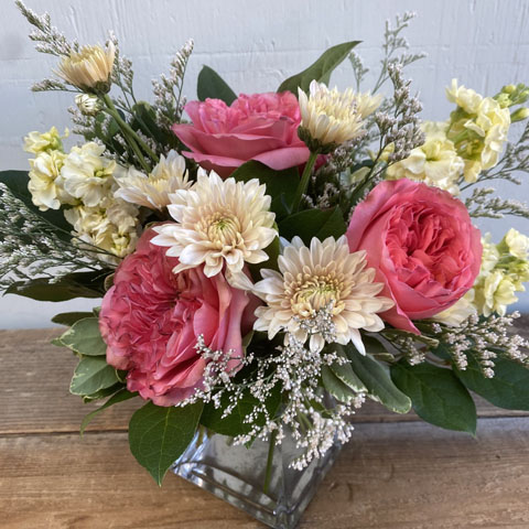 (image for)  - Click Image to Close