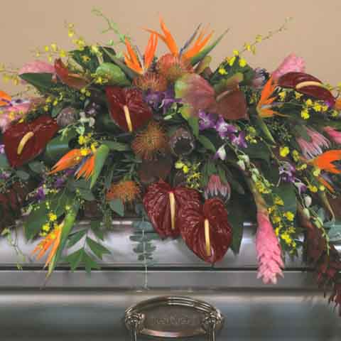 Exotic Tropical Casket Flower Spray - Click Image to Close