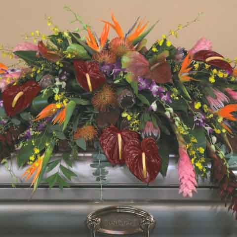 (image for) Exotic Tropical Casket Flower Spray - Click Image to Close