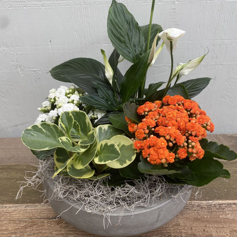 (image for) Fall European Garden - Click Image to Close