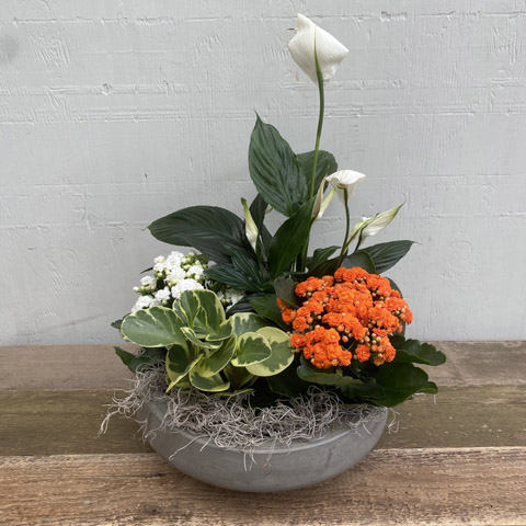 (image for) Fall European Garden - Click Image to Close