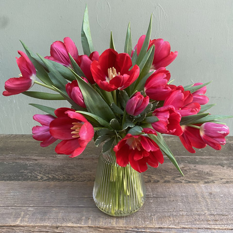 (image for) Aurora Tulip Flower Bouquet - Click Image to Close