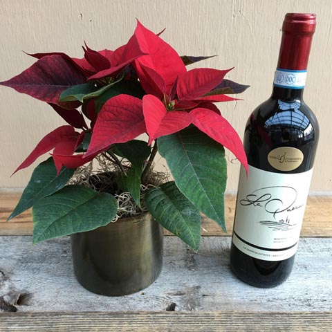 New!!! Lincoln Poinsettia and Wine New!!! Lincoln Poinsettia and Wine