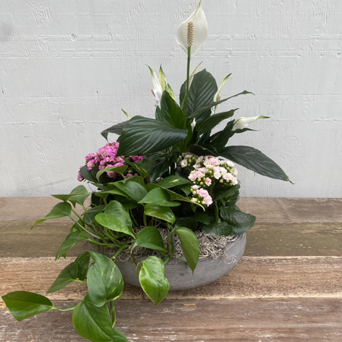 (image for) Mother's Day Garden