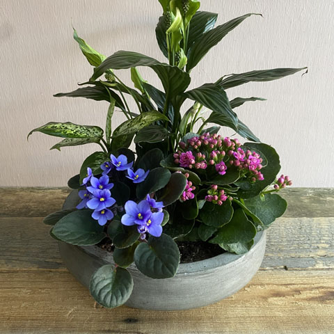 (image for) Mother's Day Garden