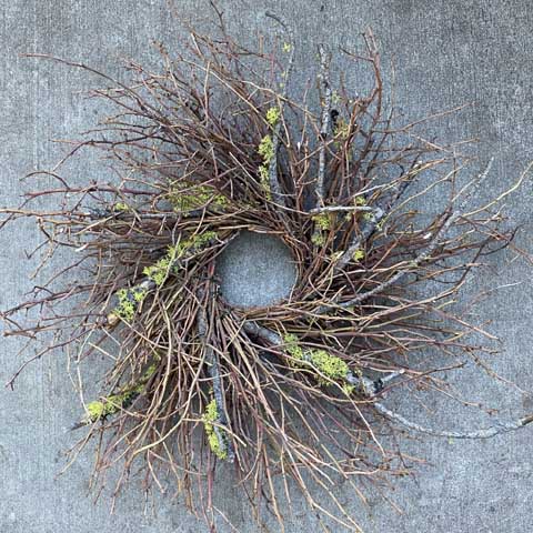 NW Lichen Wreath NW Lichen Wreath