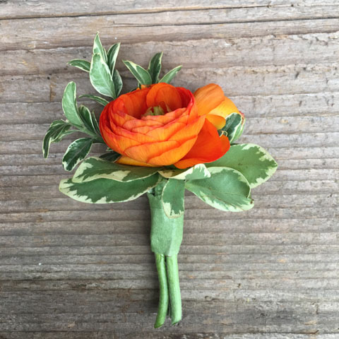 (image for) ORANGE RANUNCULUS BOUTONNIERE - Click Image to Close