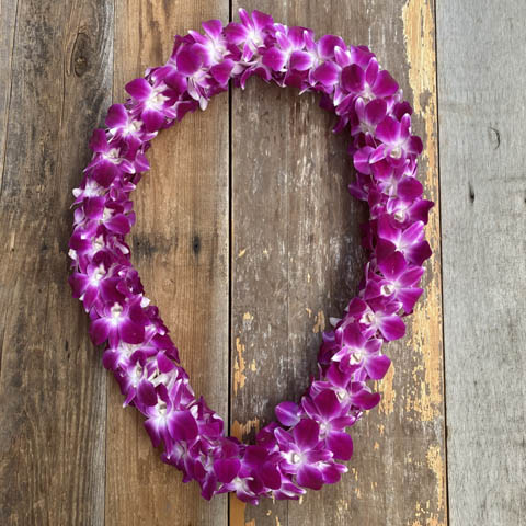(image for) Hawaiian Orchid Lei