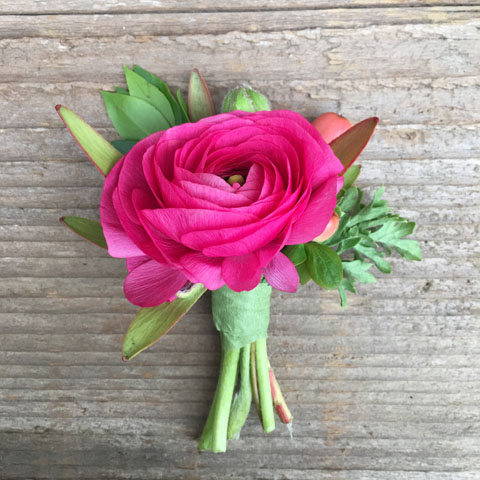 PINK RANUNCULUS BOUTONNIERE PINK RANUNCULUS BOUTONNIERE