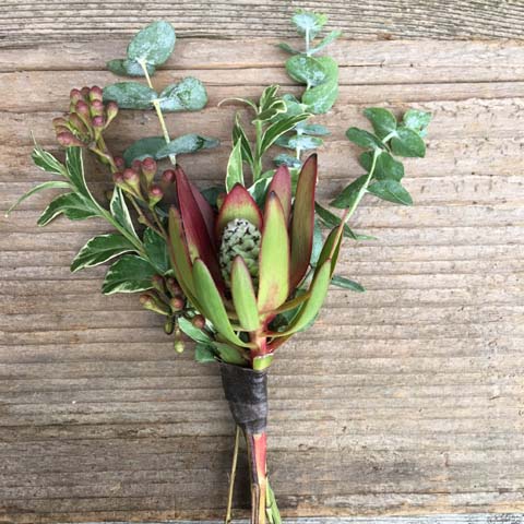 SAFARI BOUTONNIERE - Click Image to Close