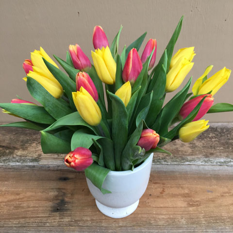 New!!! Spring Tulip Flower Bouquet New!!! Spring Tulip Flower Bouquet