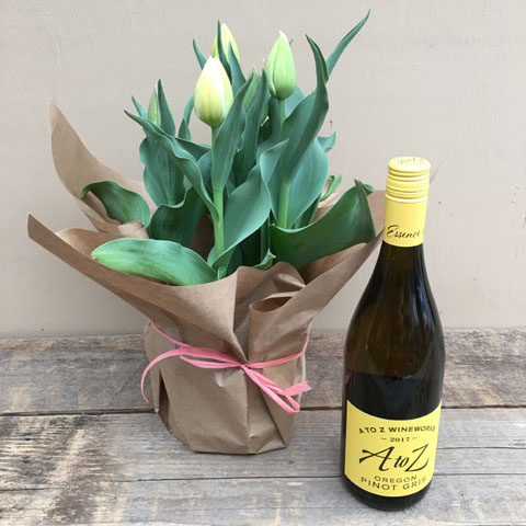 New!!! Tulip Plant and Pinot Gris New!!! Tulip Plant and Pinot Gris