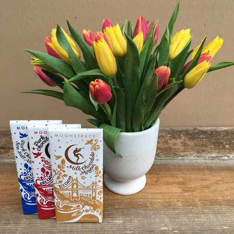 New!!! Tulips and Moonstruck Chocolate New!!! Tulips and Moonstruck Chocolate