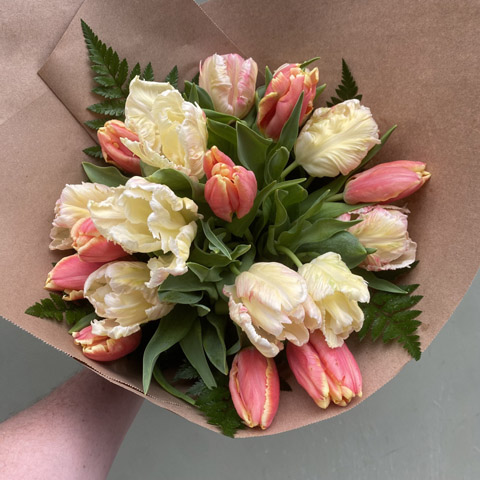 (image for) Wrapped Parrot Tulips