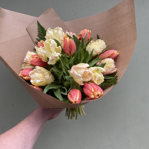 (image for) Wrapped Parrot Tulips
