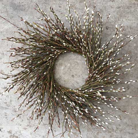 24" Pussy Willow Wreath 24" Pussy Willow Wreath